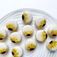 twelve sunflowers painted on white macaroons sitting on a plate