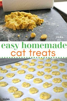 an easy homemade cat treats recipe that is ready to be eaten and put in the oven