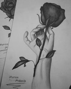 a pencil drawing of a hand holding a rose