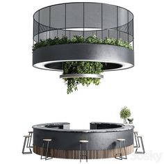 the circular table has plants growing in it