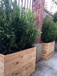 two large wooden planters sitting next to each other