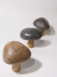 three small rocks lined up next to each other