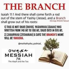 an open book with a tree growing out of it next to the words, we are the branch