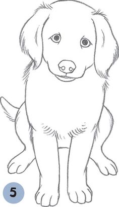 how to draw a dog for kids step by step drawing lesson with pictures and instructions