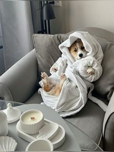 a dog wrapped in a towel sitting on top of a couch next to plates and cups