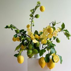 a vase filled with lemons and green leaves