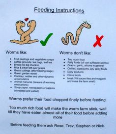 a sign describing feeding instructions for worms