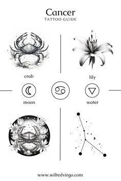 Eagles Tattoo, Symbols Tattoos, Tattoo Guide, Astrology Tattoo, Zodiac Elements, Moon Tattoo Designs, Zodiac Sign Tattoos