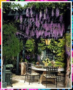 Transform your outdoor space with these 10 stunning pergola decorations. From string lights to hanging plants, elevate your pergola with these creative ideas. Whether you're hosting a summer BBQ or simply enjoying a quiet evening, these decorations will add charm and ambiance to your outdoor oasis. Explore now! Small Garden Gazebo, Small Garden Pergola, Pergola Diy, Rustic Patio, Patio Pergola, Building A Pergola