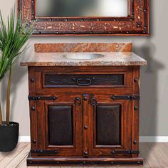 a bathroom vanity with a mirror above it and a potted plant next to it