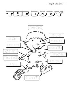 the body worksheet for kids