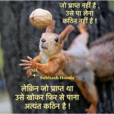 a squirrel is playing with a ball in front of a tree and the caption says,