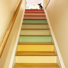 there is a dog sitting on top of the colorful stairs in this house,