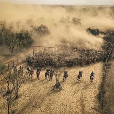 several people riding horses on a dirt road near a fence and some cattle in the background