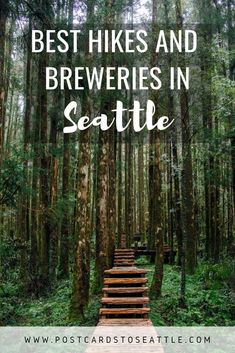 stairs in the woods with text overlay saying best hikes and brewers in seattle