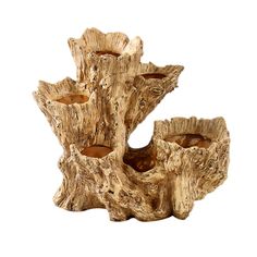 three vases made out of driftwood are shown in this image on a white background