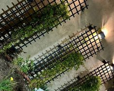 an overhead view of some plants growing on the side of a building