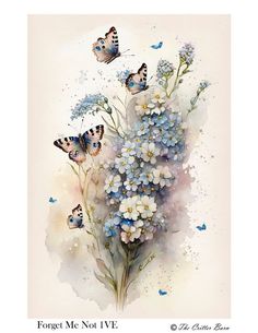 watercolor painting of blue flowers and butterflies on white background with text forget me not iv