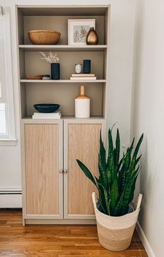 a potted plant sitting on top of a wooden floor next to a book shelf