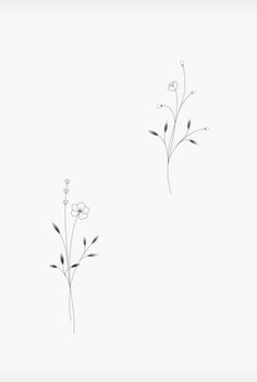 two black and white drawings of flowers on a white background, one is drawn by hand