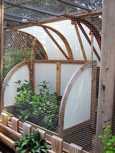 an outdoor garden area with plants and fencing