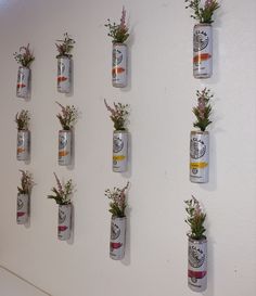 there are many cans with plants in them on the wall