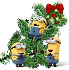 three minion characters are hanging from a christmas tree