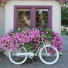 a white bicycle with flowers in the basket