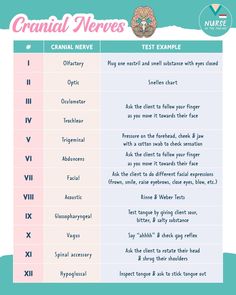 the two types of cranin nemes are shown in this graphic above it's description