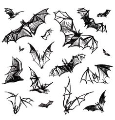 a bunch of bats flying in the air with their wings spread out, vintage line drawing or engraving illustration