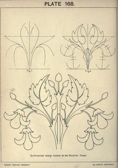 four different types of flowers are shown in this drawing book, which shows how to draw them