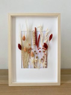 three dried flowers in a white frame on a table