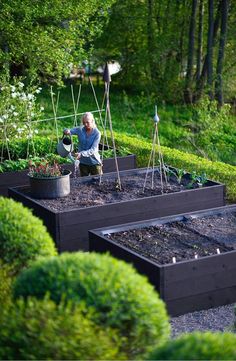 a woman is tending to her garden in the middle of some bushes and trees,