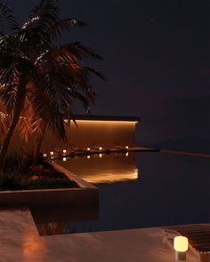 a palm tree sitting next to a swimming pool at night with lights on the water