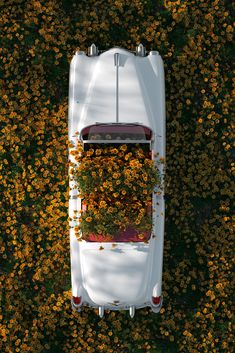 an overhead view of a white car with flowers growing on it