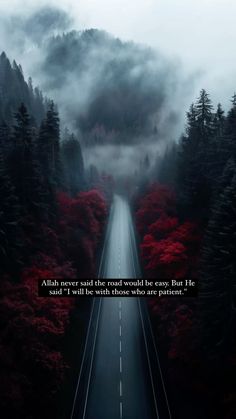 an empty road in the middle of a forest with trees on both sides and a foggy sky above it