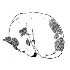 a black and white drawing of a cow laying down