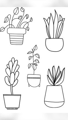 four potted plants are shown in this black and white drawing set, with one plant on