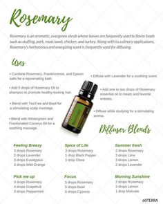 Madame Zeroni, Rosemary Essential Oil Uses, Doterra Rosemary, Hair Recipes, Doterra Blends, Diffuser Oils, Doterra Oil, Rosemary Essential Oil