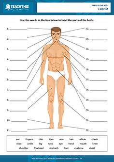 the human body is labeled with labels for each individual's body, including their names and