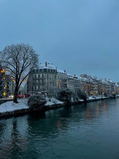 a river runs through the center of a city with buildings on both sides and trees in the foreground