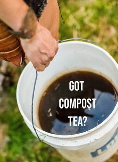 a person holding a bucket full of tea with the words, got compostt tea?