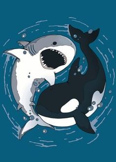 an orca and whale swimming together in the ocean