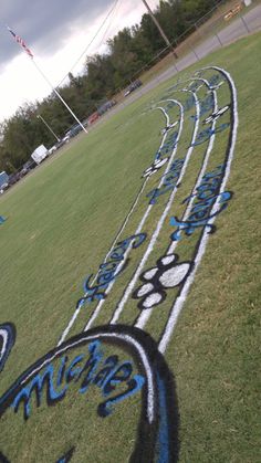 the painted lines on the field are blue and white with black letters that spell out their name