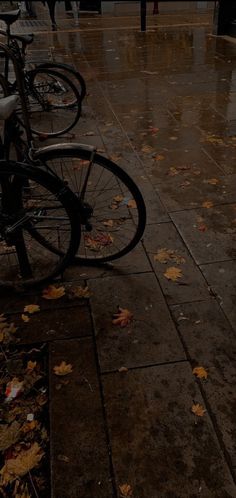 several bicycles are parked on the sidewalk in the rain