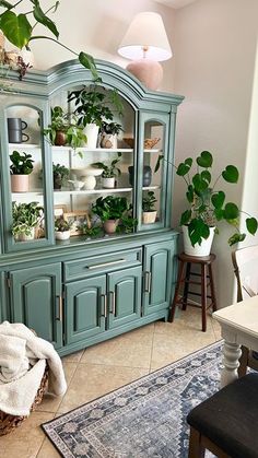 a green china cabinet with plants in it and a rug on the floor next to it