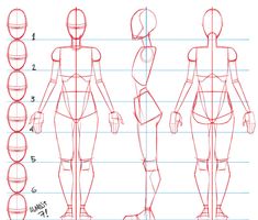 how to draw the human figure step by step