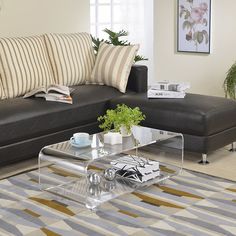 a living room with a couch, coffee table and plants on the floor in front of it