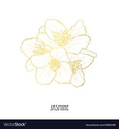 a yellow flower with the word jasmine in black ink on a white background