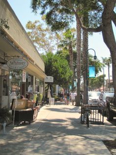 the sidewalk is lined with shops and palm trees